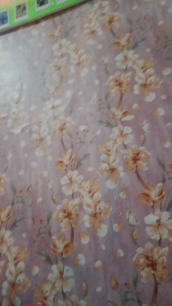 Facial Wash (produk Wajah)