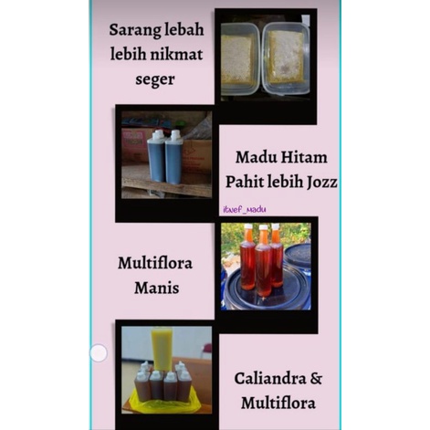 

Madu Asli Multiflora 1,5 kg termurah