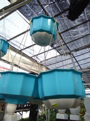 POT G ENOKI GANTUNG D'10 (B)