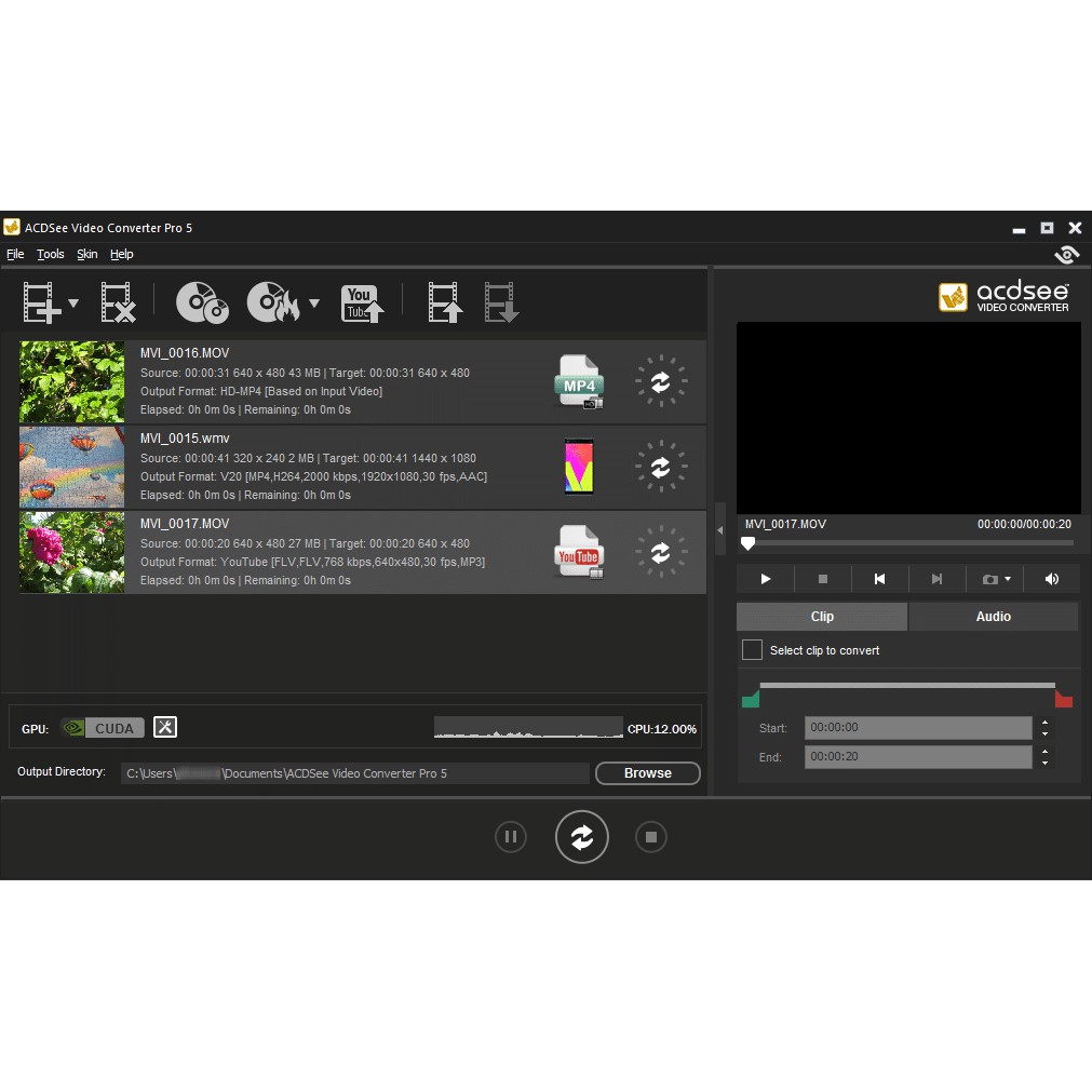 ACDSee Video Converter Pro