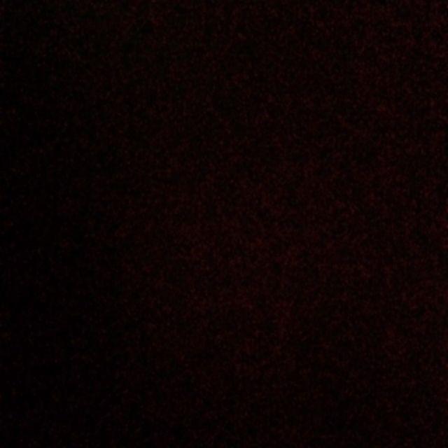 Tempat Sikat Gigi Travelling Og