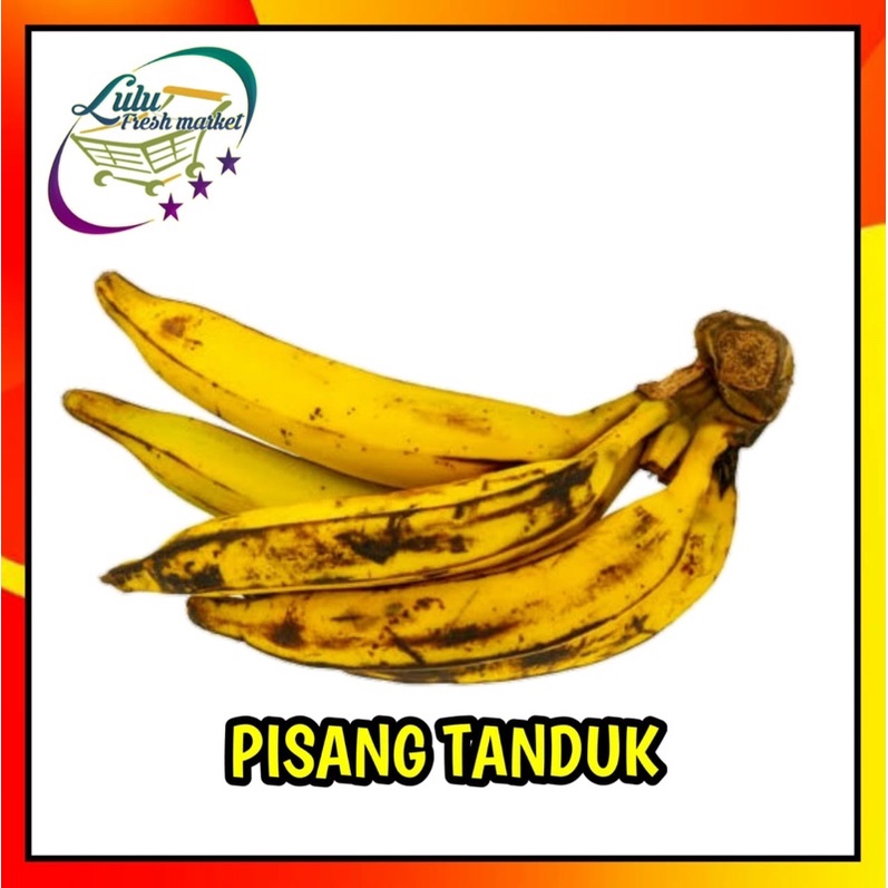 

PISANG TANDUK 1 PCS MURAH BESAR MATANG KUNING BISA REQUEST MATANG KUNING ATAU HIJAU MENGKEL