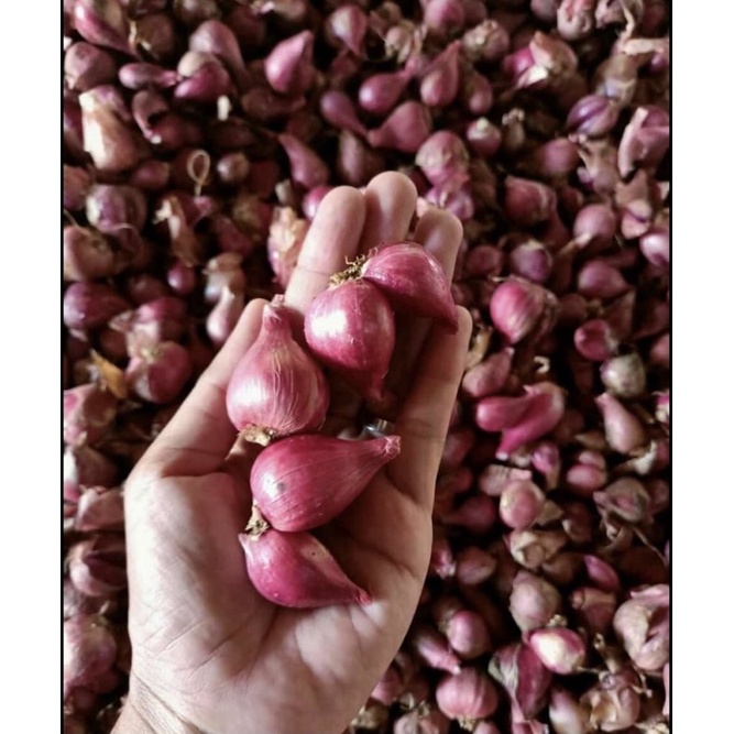 

Bawang merah besar 500gr