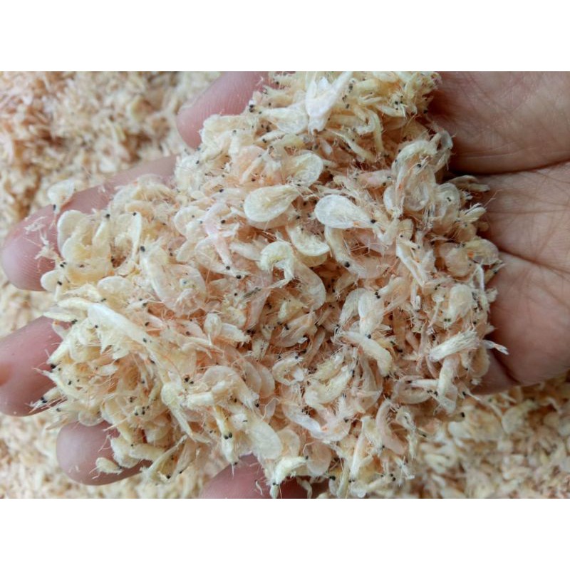 

rebon asin