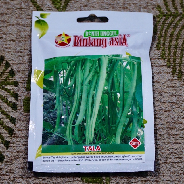 Benih Bibit BUNCIS TEGAK Biji Hitam TALA Bintang Asia kemasan asli