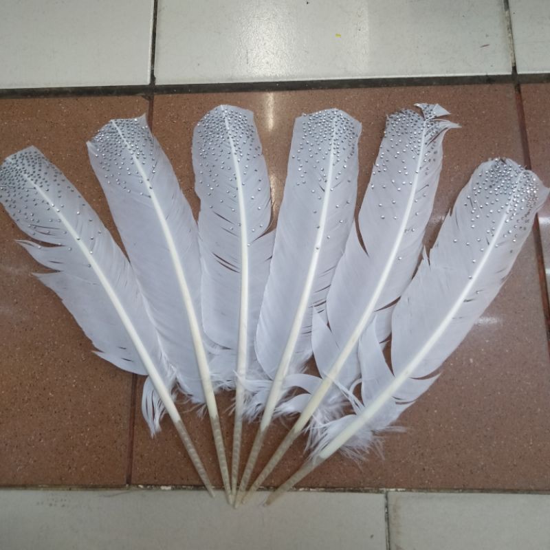 Bulu Ayam Pulpen Mata2/6pcs-Bulu Dekor
