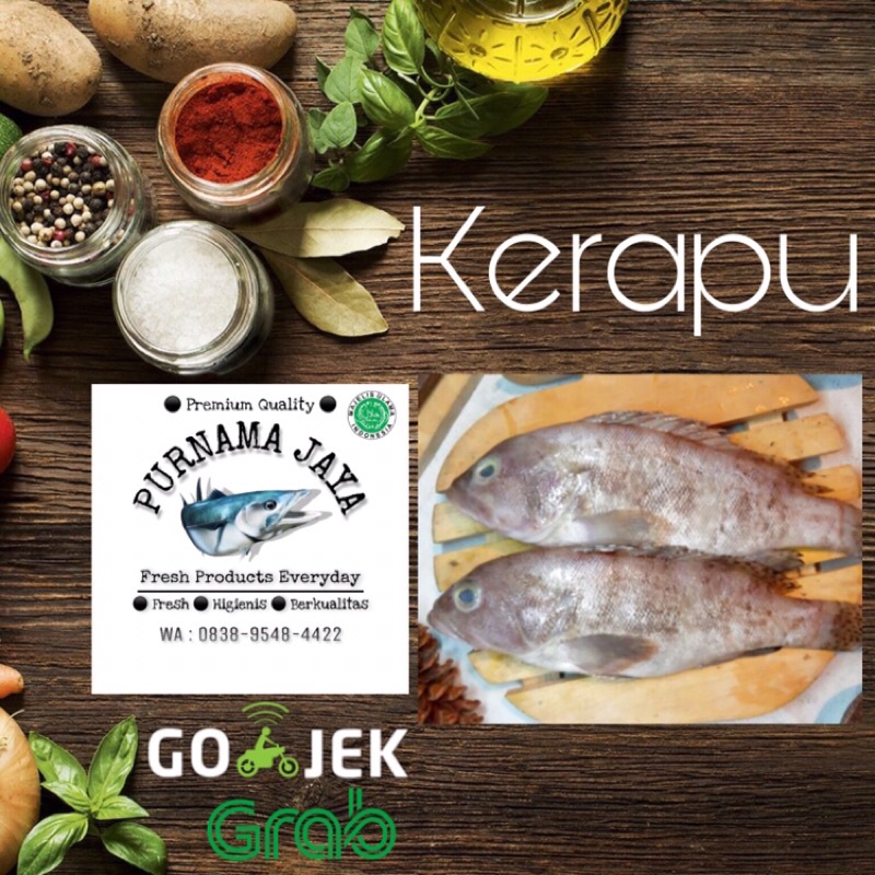 

Ikan Kerapu Segar