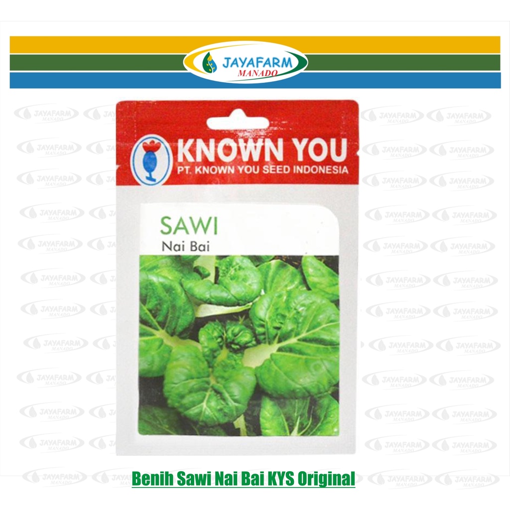 Benih Sawi Nai Bai KYS Original