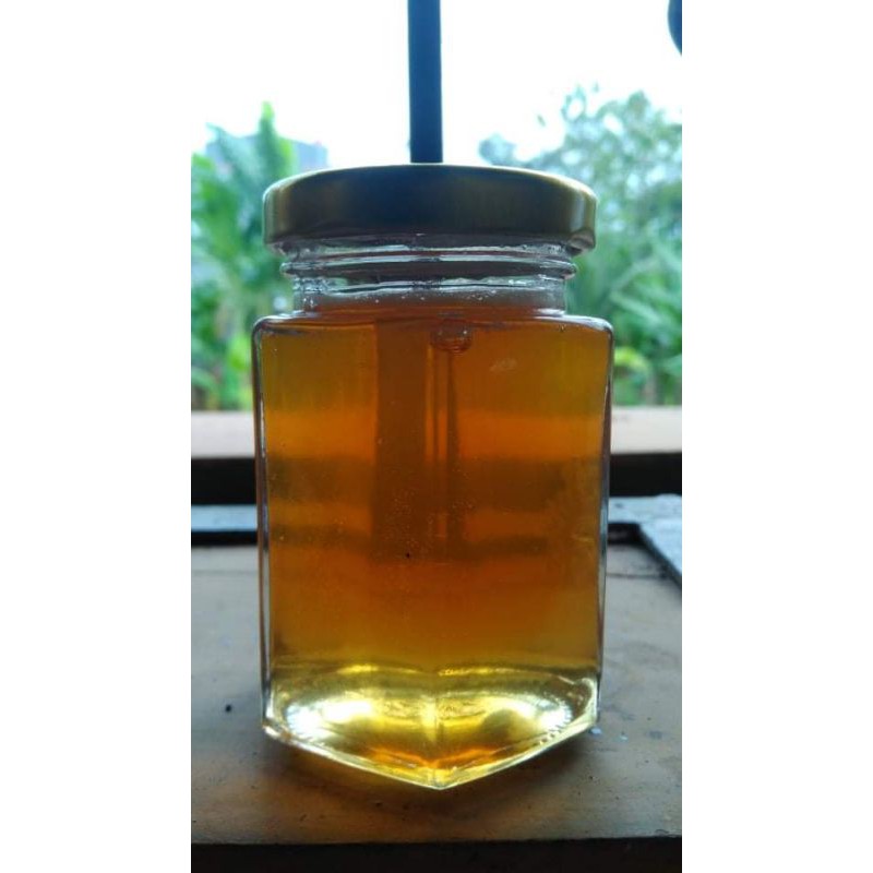 

Madu Kelengkeng Asli
