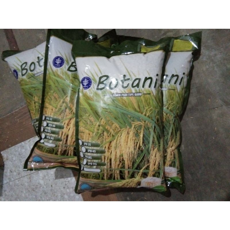 BENIH PADI IPB 3S PREMIUM