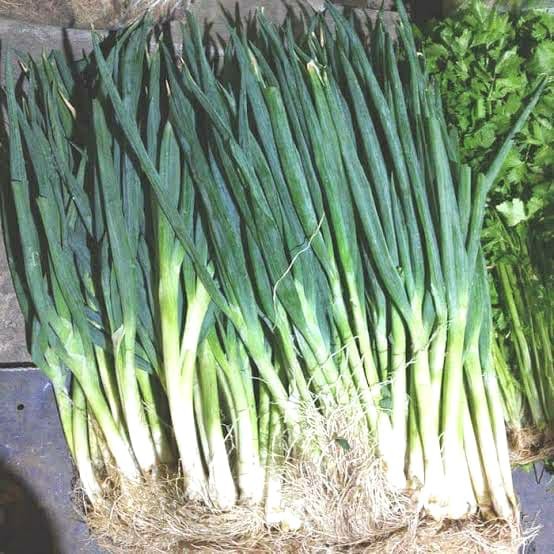 

Bawang Daun Segar Fresh Alami