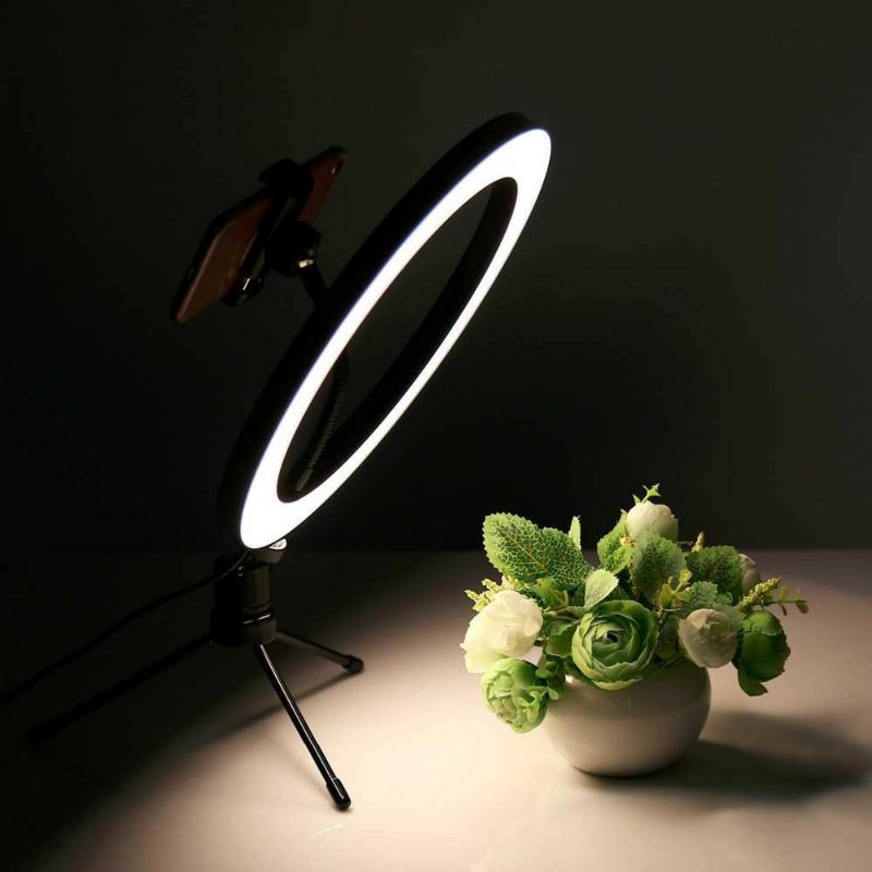 Lacyfans Halo Ring Light LED 120 LED 10 Inch Holder+Mini Tripod