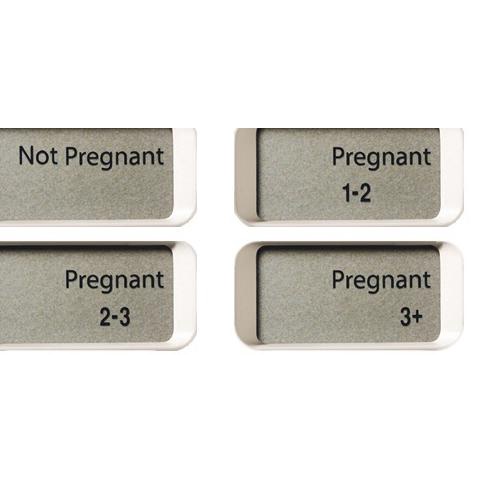 ← Clearblue Digital Pregnancy Test With Weeks Indicator ✥