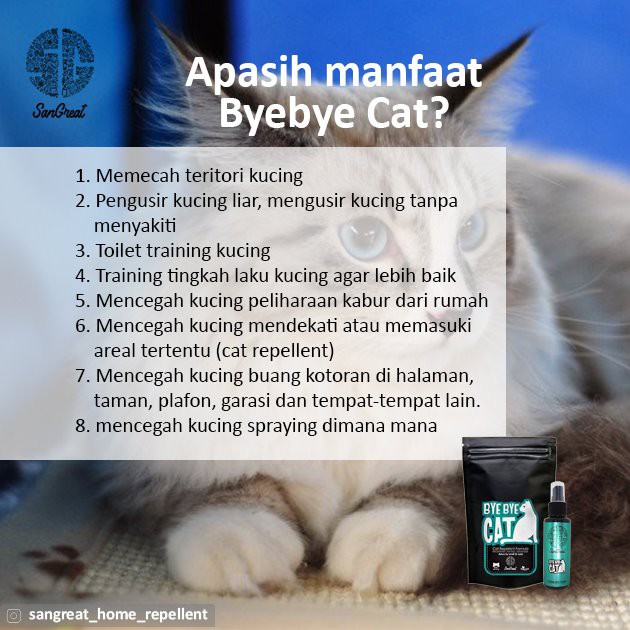 Kapur barus kamper anti kucing organik alat pengusir kucing pengusir kucing kampung liar alami terbaik Bye Bye cat gel 250 gr untuk outdoor dan kucing peliharaan agar tidak berak pup pipis sembarangan