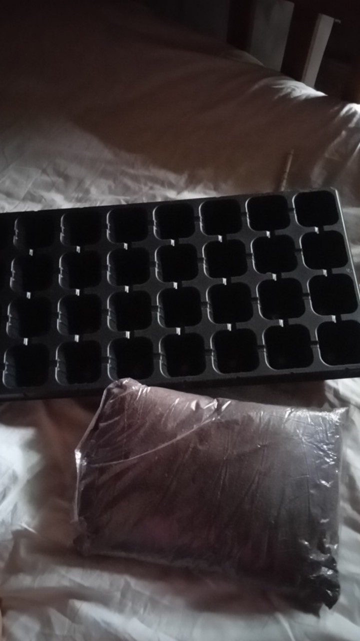 Tray Semai 32 Lubang