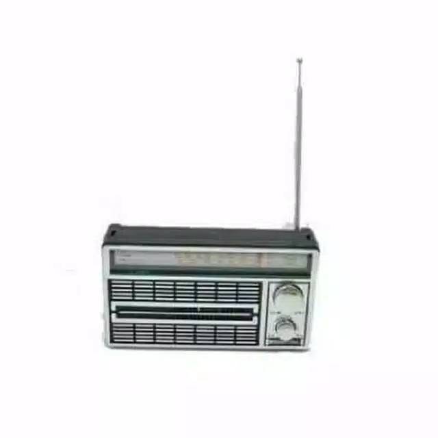 INTERNASIONAL F-4250 FM AM SW PORTABLE  RADIO