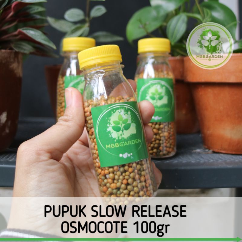 PUPUK SLOW RELEASE OSMOCOTE SEIMBANG 13-13-13 REPACK 100GR
