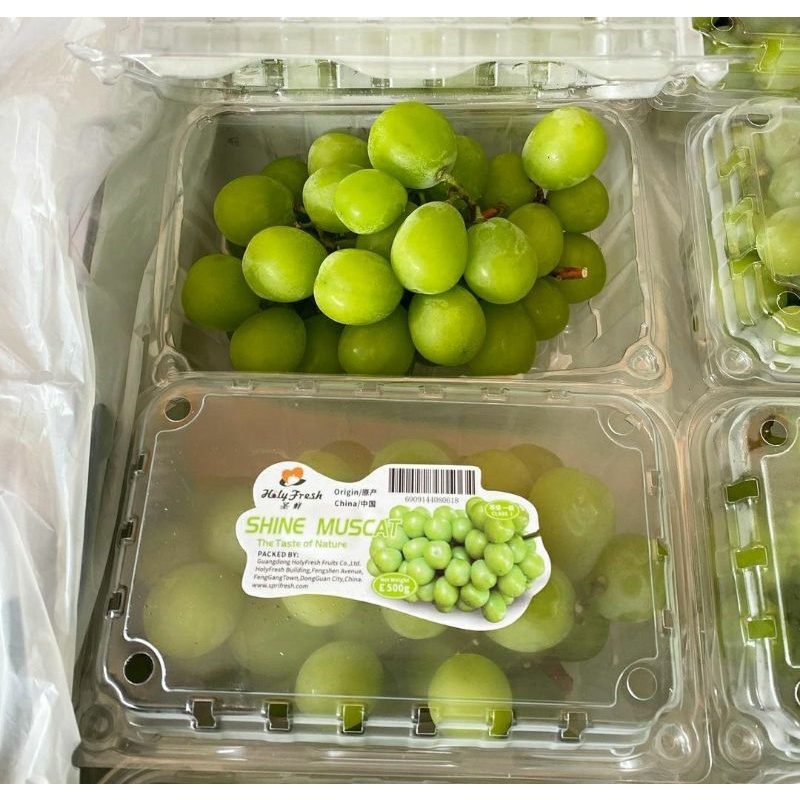 

Anggur shine muscat manis import | anggur hijau manis | pack