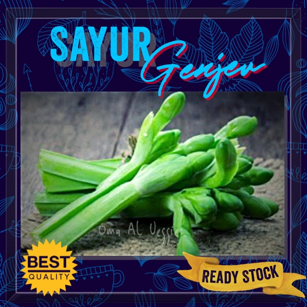 

SAYUR GENJER SEGAR PER IKAT