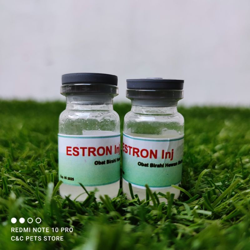 Estron Injeksi 5 ml obat birahi untuk hewan peliharaan (betina)