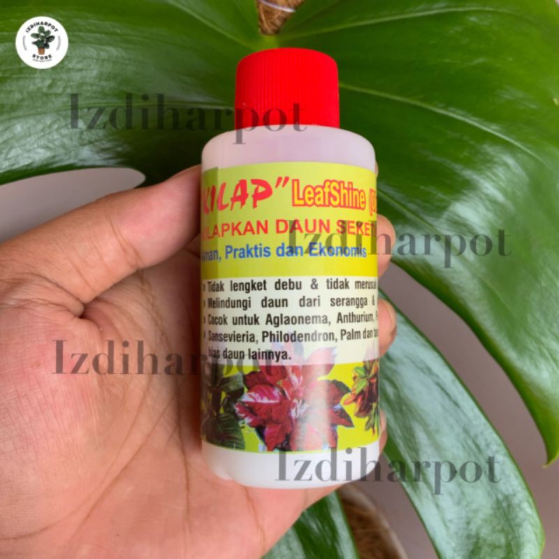 KILAP LEAFSHINE 100ML pengkilat daun bikin tanaman kelihatan bagus