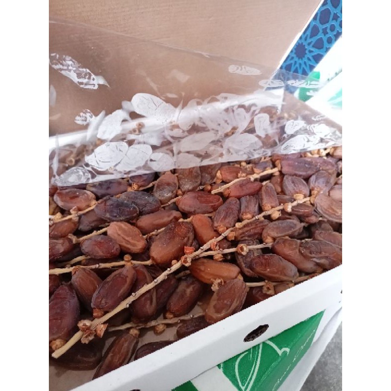 

Kurma TUNISIA Tangkai