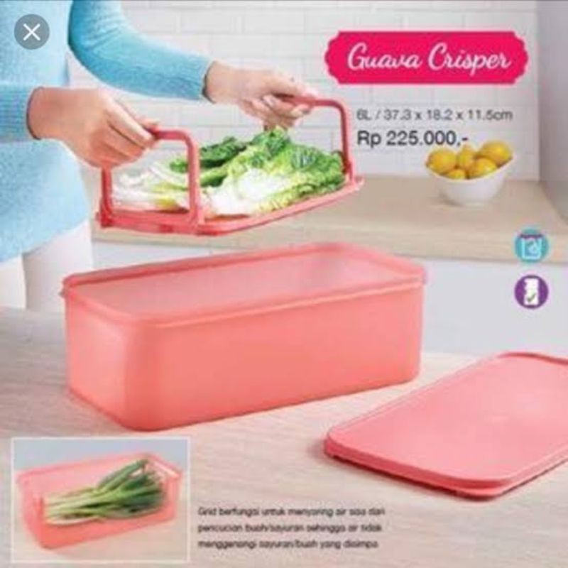 Guava Crisper Tupperware Tirisan buah dan sayur