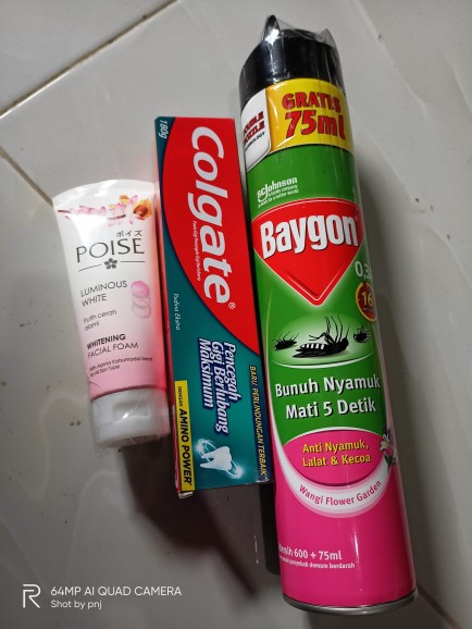 Baygon Aerosol Flower Garden 600+75ml