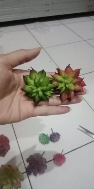 Hiasan Kaktus Palsu, Seculen Artifisial, Kaktus Imitasi