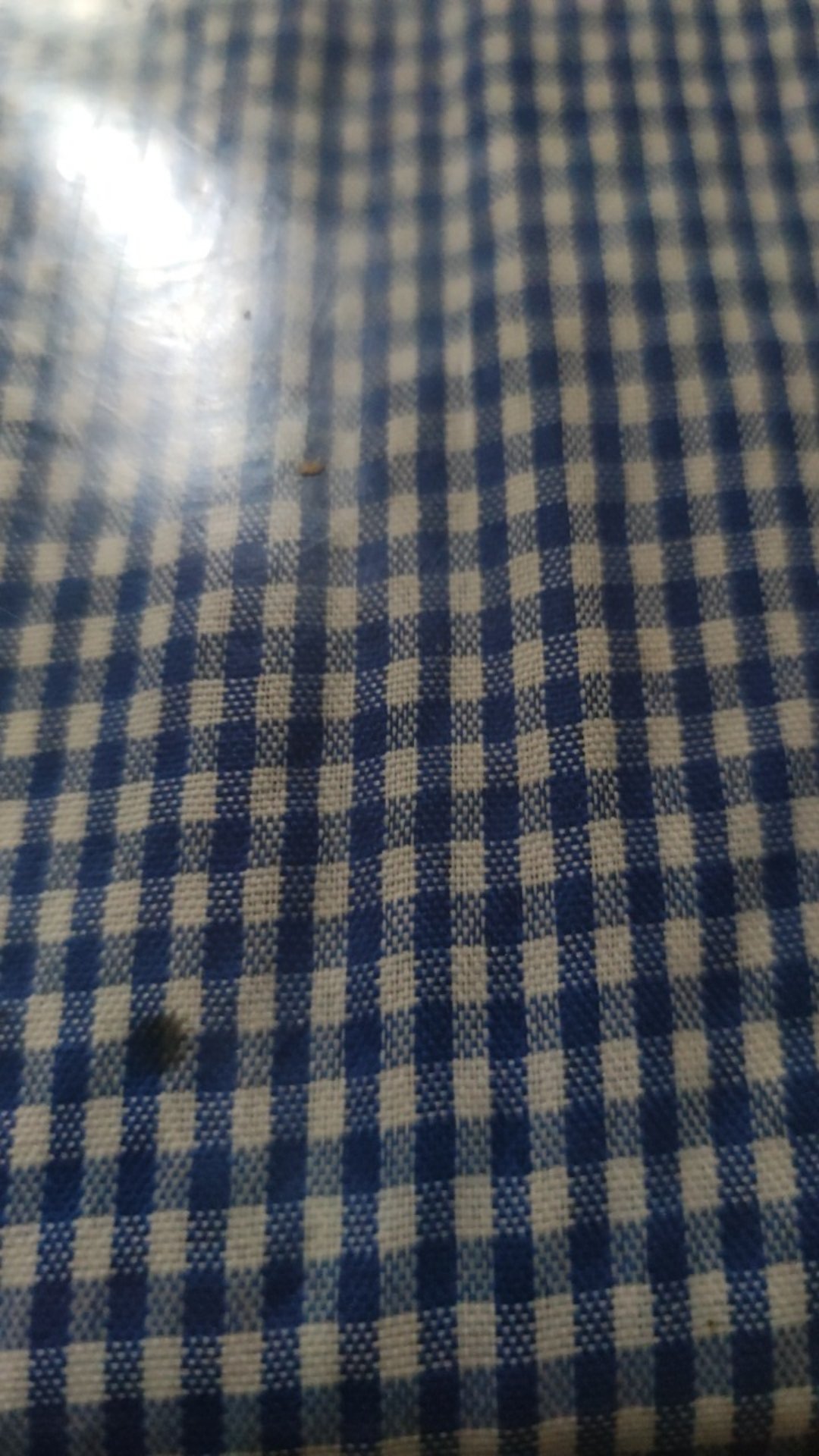 Kemeja Batik Wanita Batik Dua Putri Atasan Wanita Size S Sampai 5l