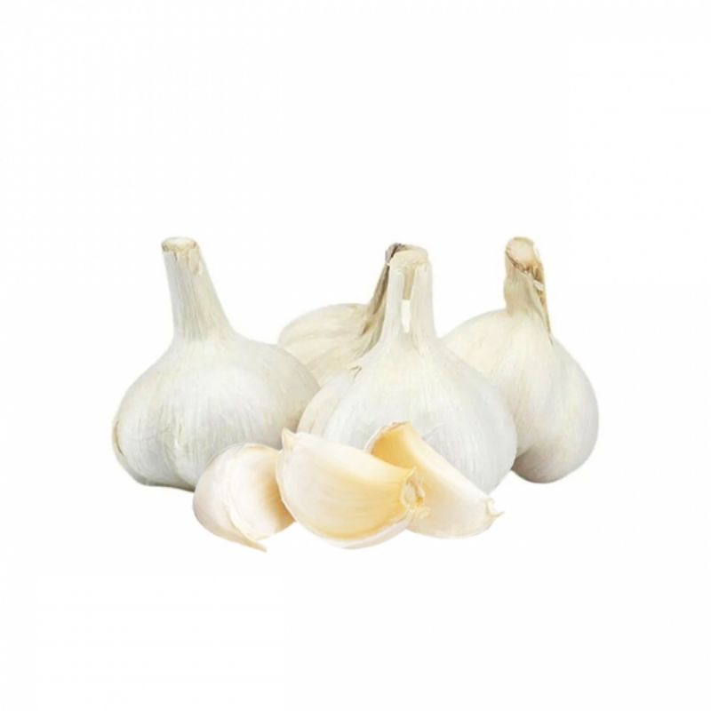 

Bawang Putih Kating