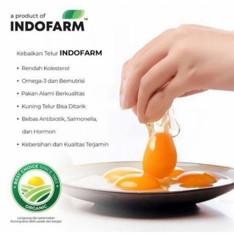 

Telor ayam kampung Omega Organik INDOFARM Smart Eggs Box Full Design.