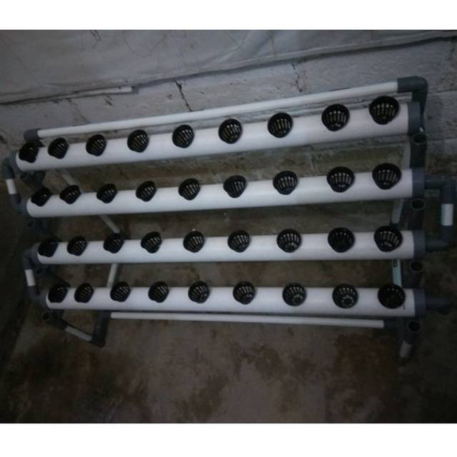 

Hidroponik 36 Lubang