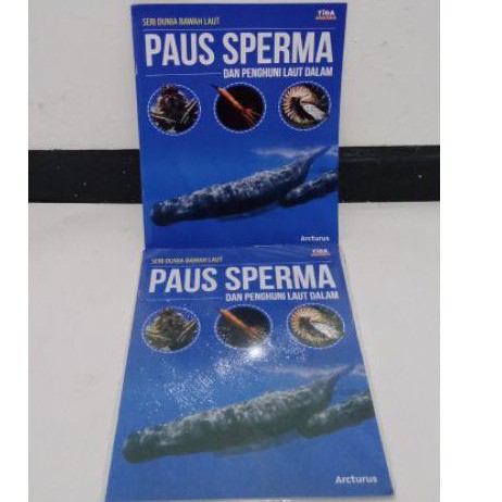 Seri dunia bawah laut Paus Sperma