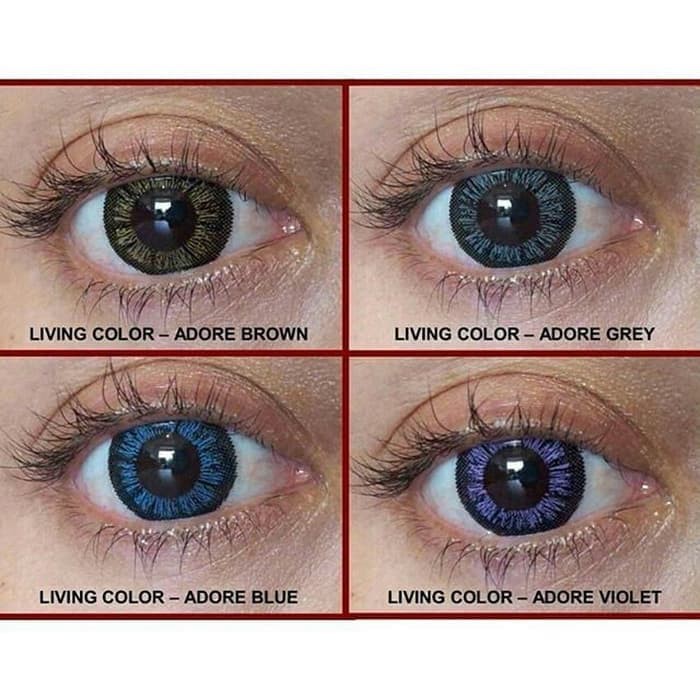 [ADORE] SOFTLENS LIVING COLOR ADORE