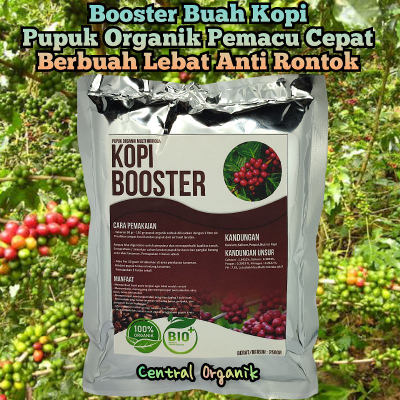 Pupuk Pelebat Buah Kopi Pupuk Booster Buah Kopi Pupuk Organik Cepat Berbuah Lebat Kopi