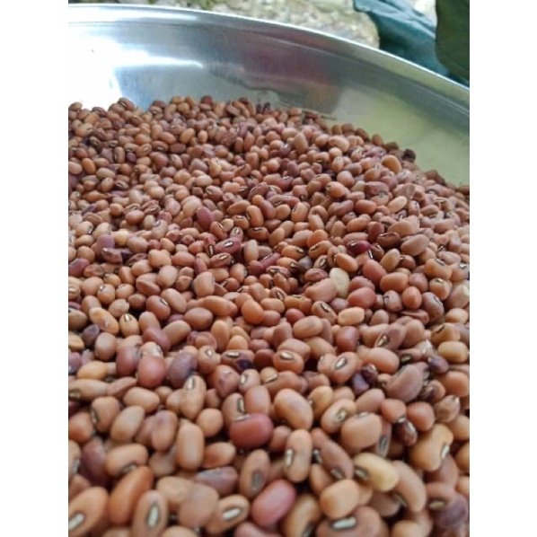 

Kacang Tolo Import Kacang Tunggak 1KG Kilogram Fresh Import