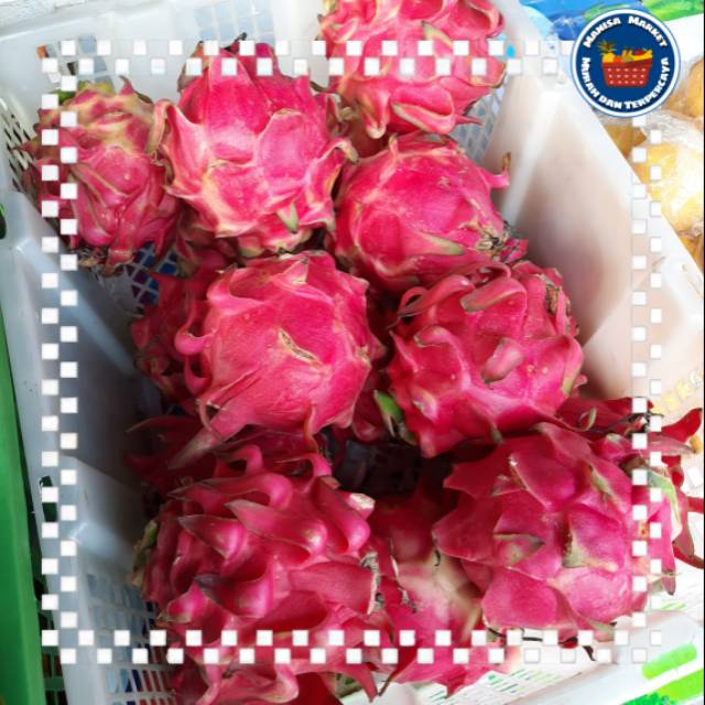 

Buah Naga Merah