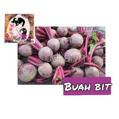 

1kg Buah bit segar asli / fresh