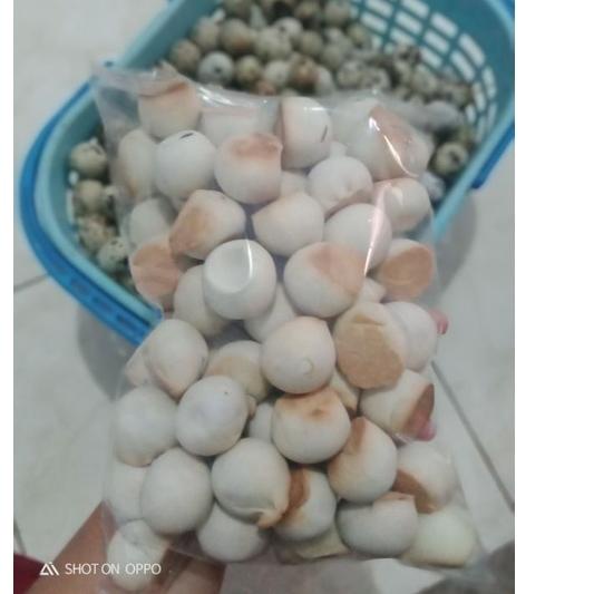 

DISKON !! 9.9 KUE MINO ATAU NOPIA berat 1kg oleh oleh khas Banyumas [KODE 346]