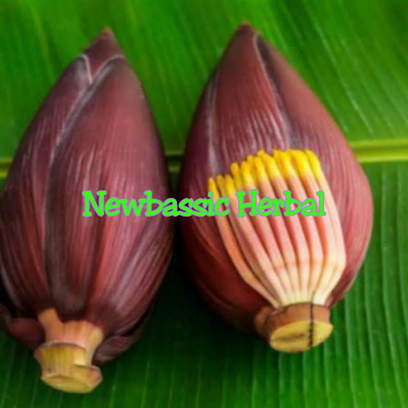 

jantung pisang batu/pisang kulutuk