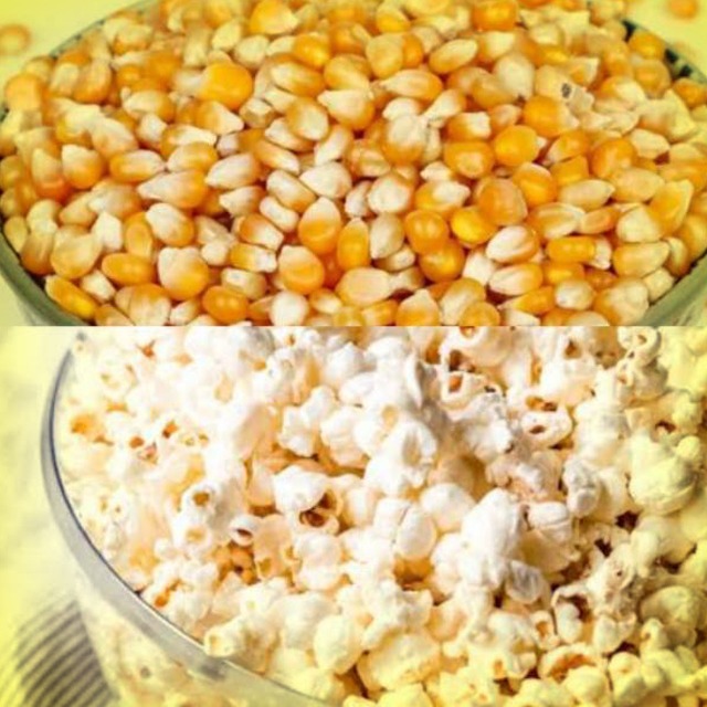 Jagung Manis Kering 1 Kg / Jagung Pop Corn / popcorn 1kg 1000gram
