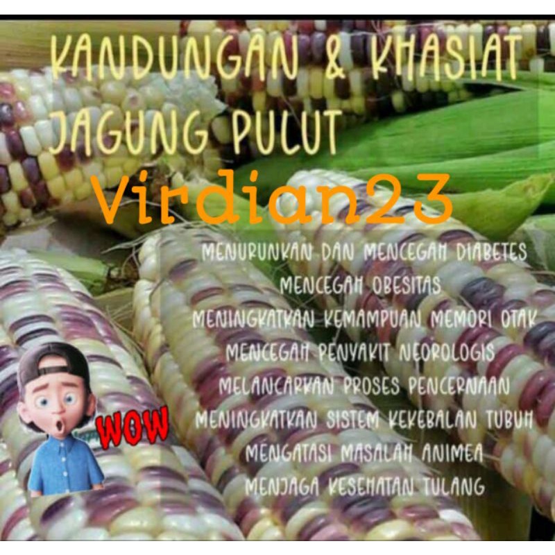 

Jagung Ketan Putih Ungu / Full Putih 1kg, Jagung Pulut, obat diet, diabetes dll