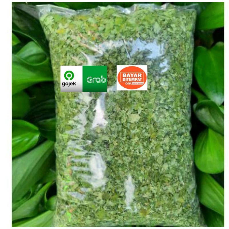 

daun kelor kering berkualitas