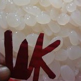 

Kolang Kaling