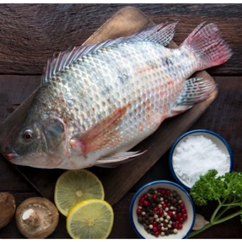 

Ikan mujair segar