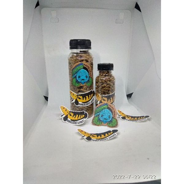 pelet jahat fajar Arief original