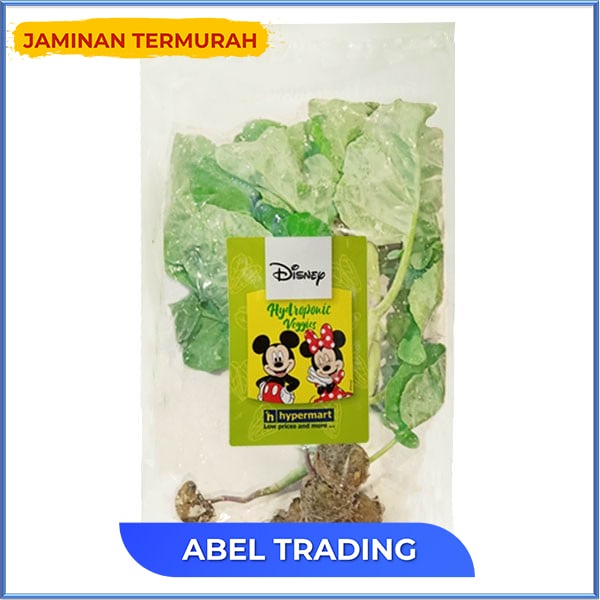 

Disney Kailan Hydroponik Pack