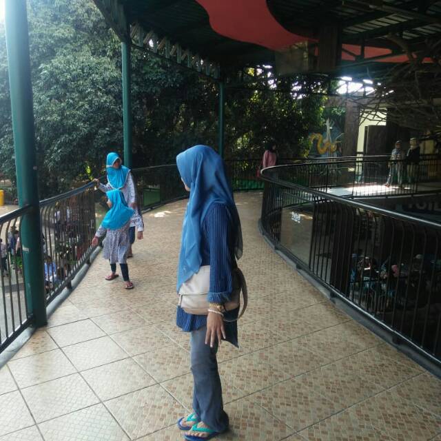 fitrianisinggihperdana