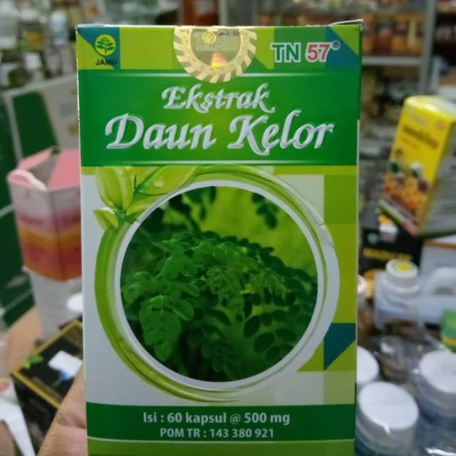 

Ekstrak daun kelor